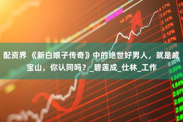 配资界 《新白娘子传奇》中的绝世好男人，就是戚宝山，你认同吗？_碧莲成_仕林_工作