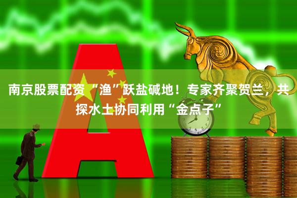 南京股票配资 “渔”跃盐碱地！专家齐聚贺兰，共探水土协同利用“金点子”